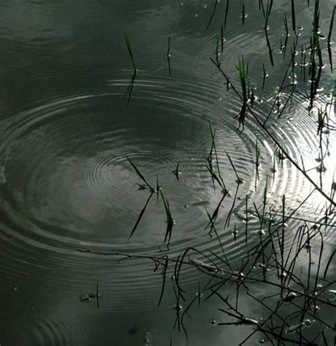 死水意思|死水